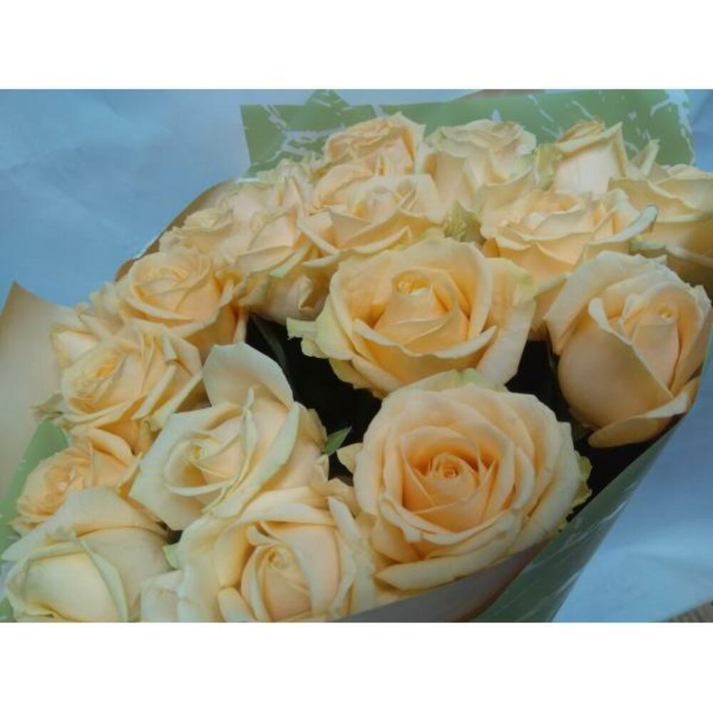 Пич Аваланш Пич Аваланш